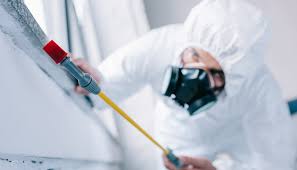 Best Pest Exclusion Services  in Weigelstown, PA